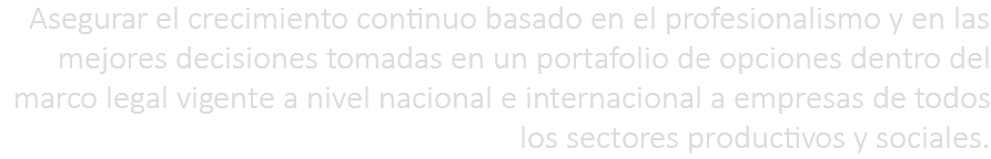 Asegurar el crecimiento continuo basado en el profesionalismo y en las mejores decisiones tomadas en un portafolio de opciones dentro del marco legal vigente a nivel nacional e internacional a empresas de todos los sectores productivos y sociales.